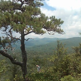 Smoky Mountain Treasures