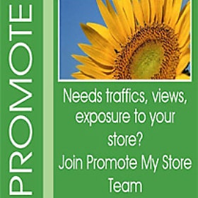 Promote My Store