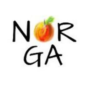 North Georgia Etsy Team