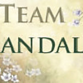 MANDALA team