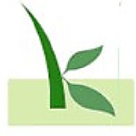 Kiva Team