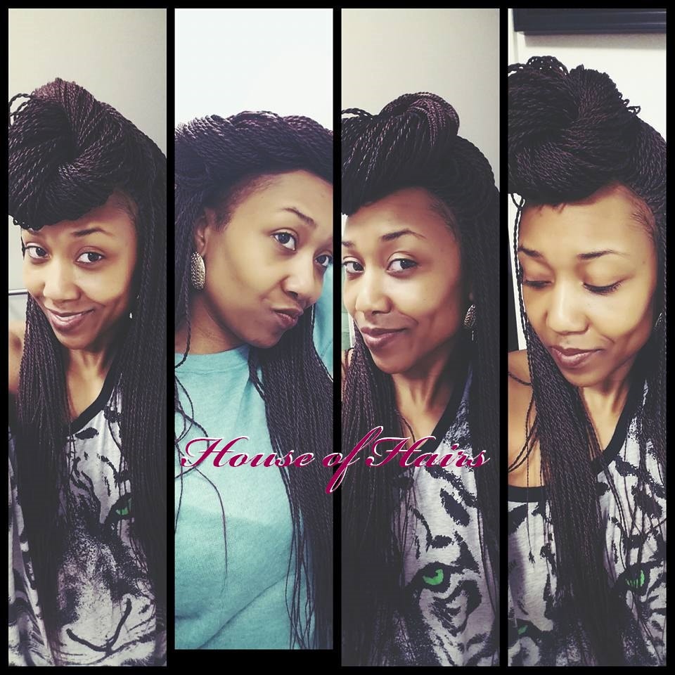 Gallery House of Hairs