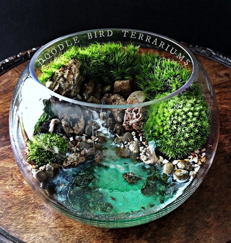 Gallery - Terrariums