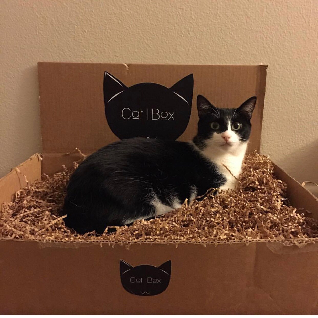 Gallery CatBox Boutique