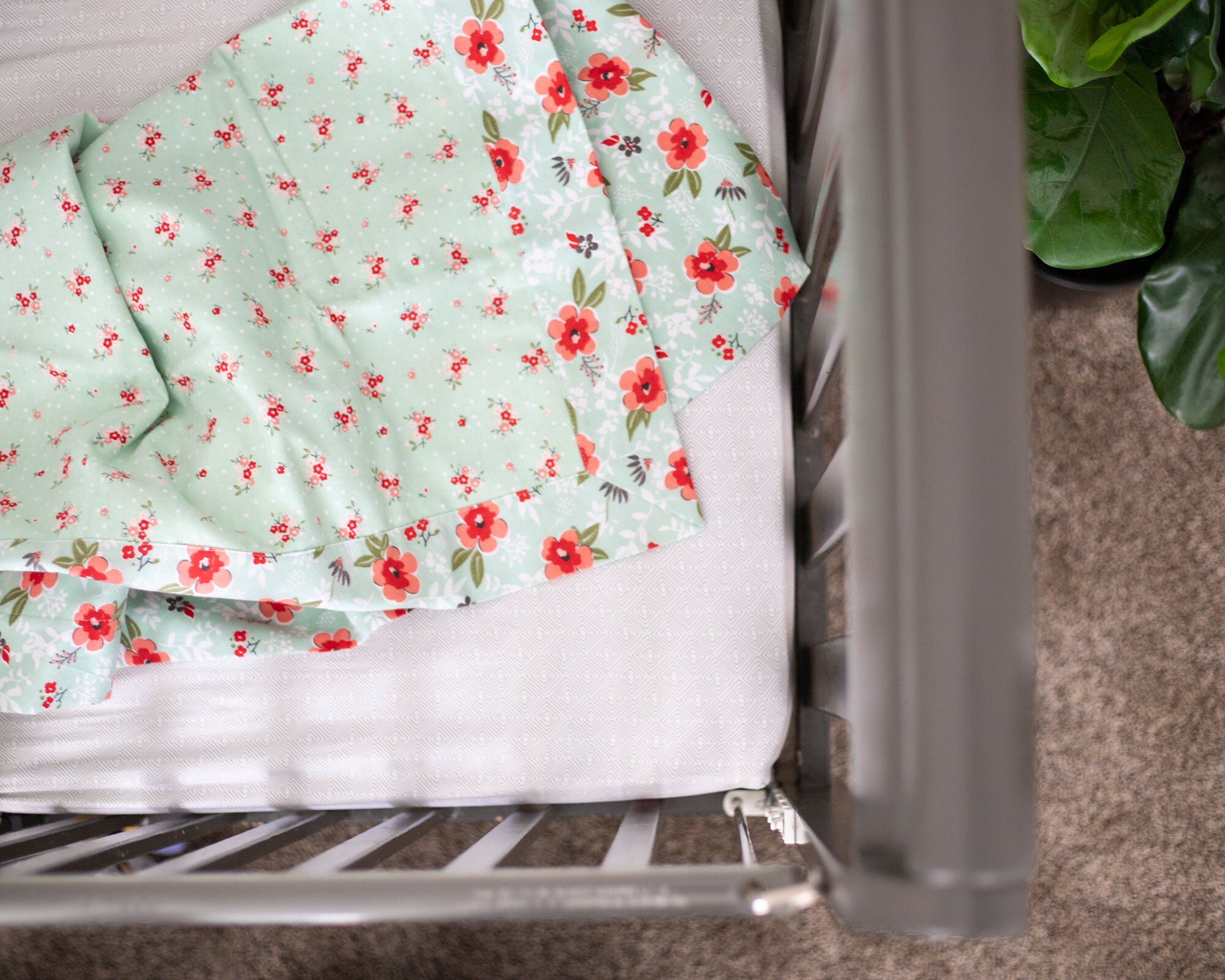 Gallery The Cotton Bolt