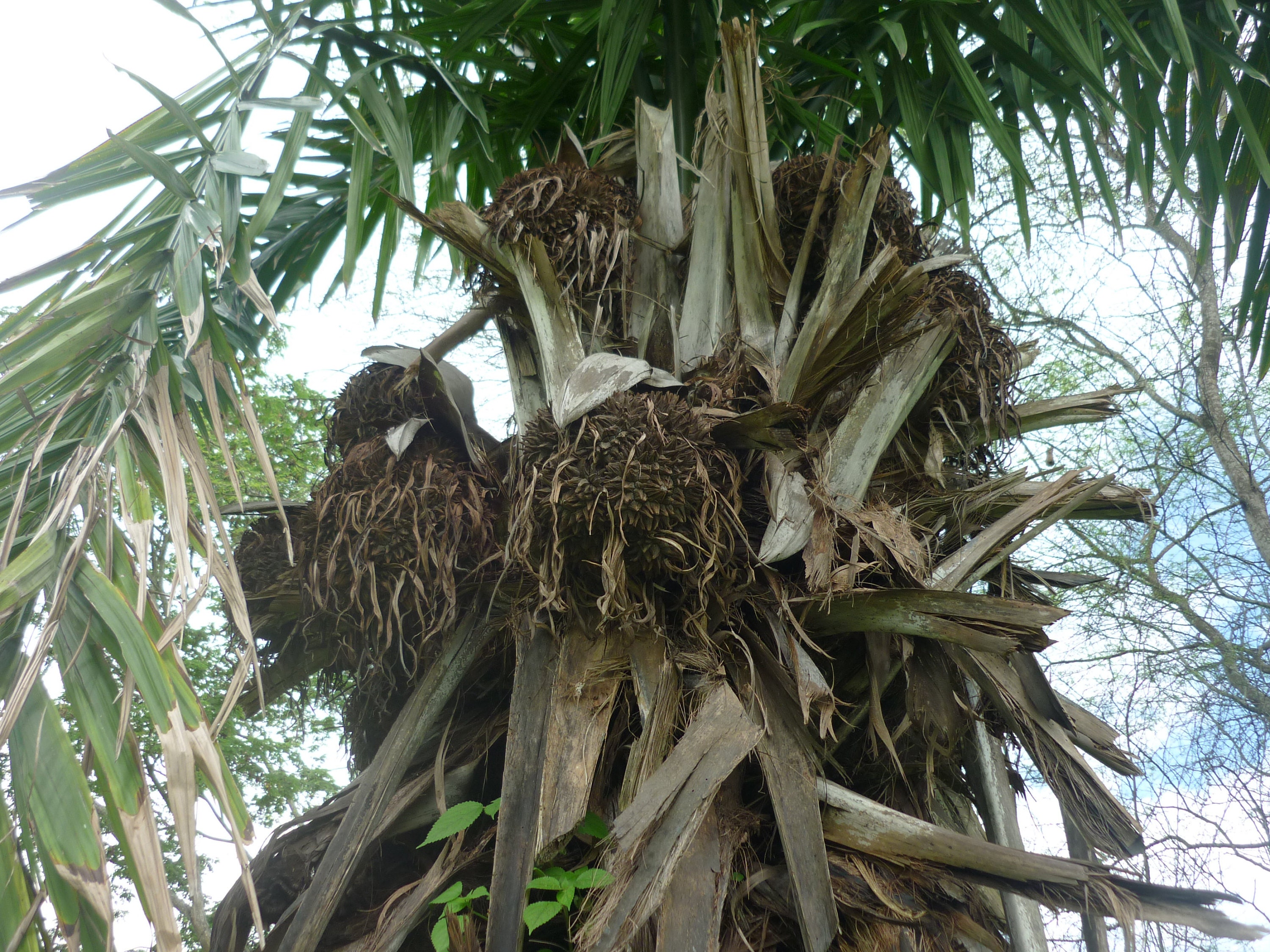 Gallery Organic Jewelry by Allie