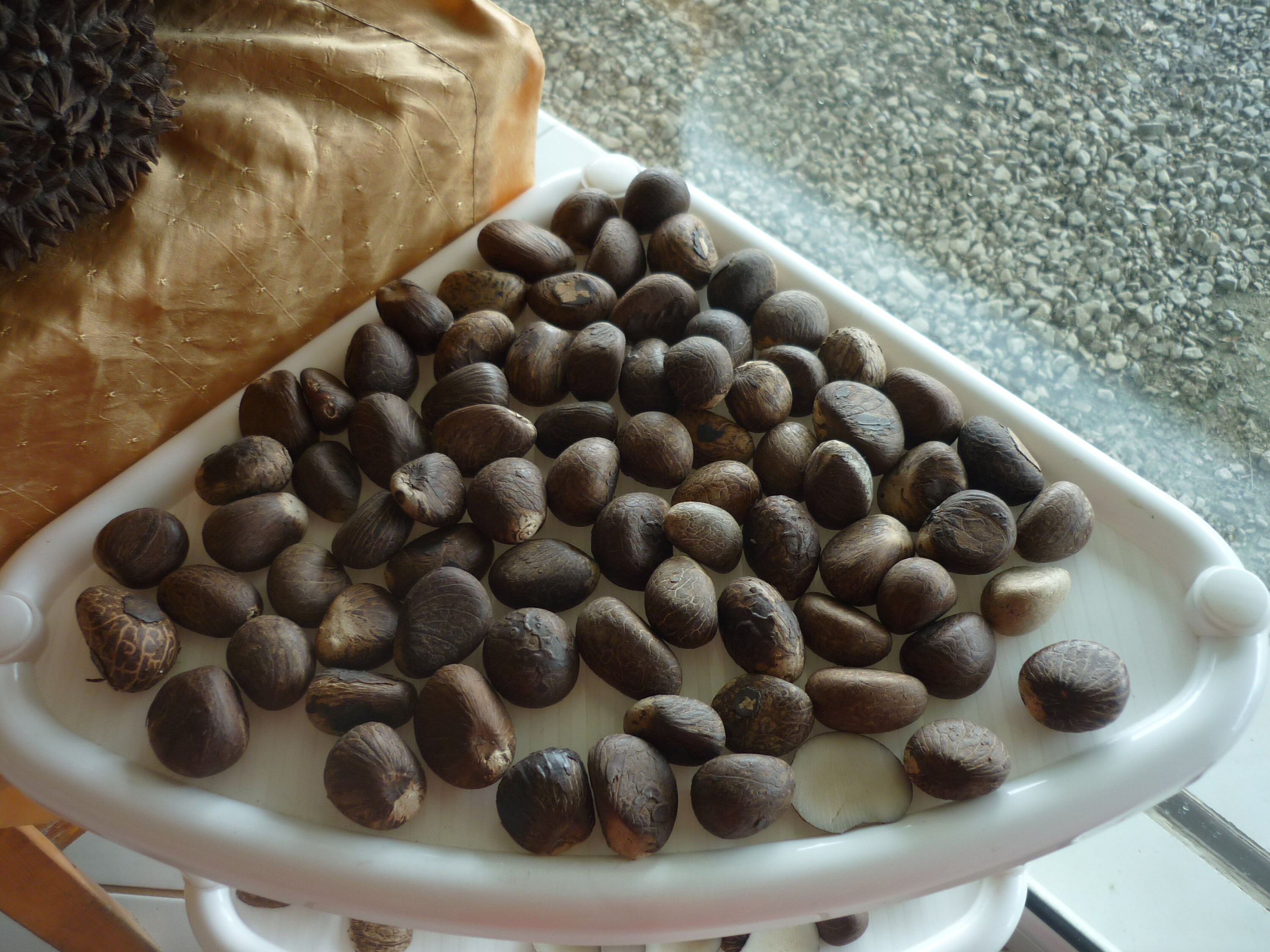 Gallery Organic Jewelry by Allie