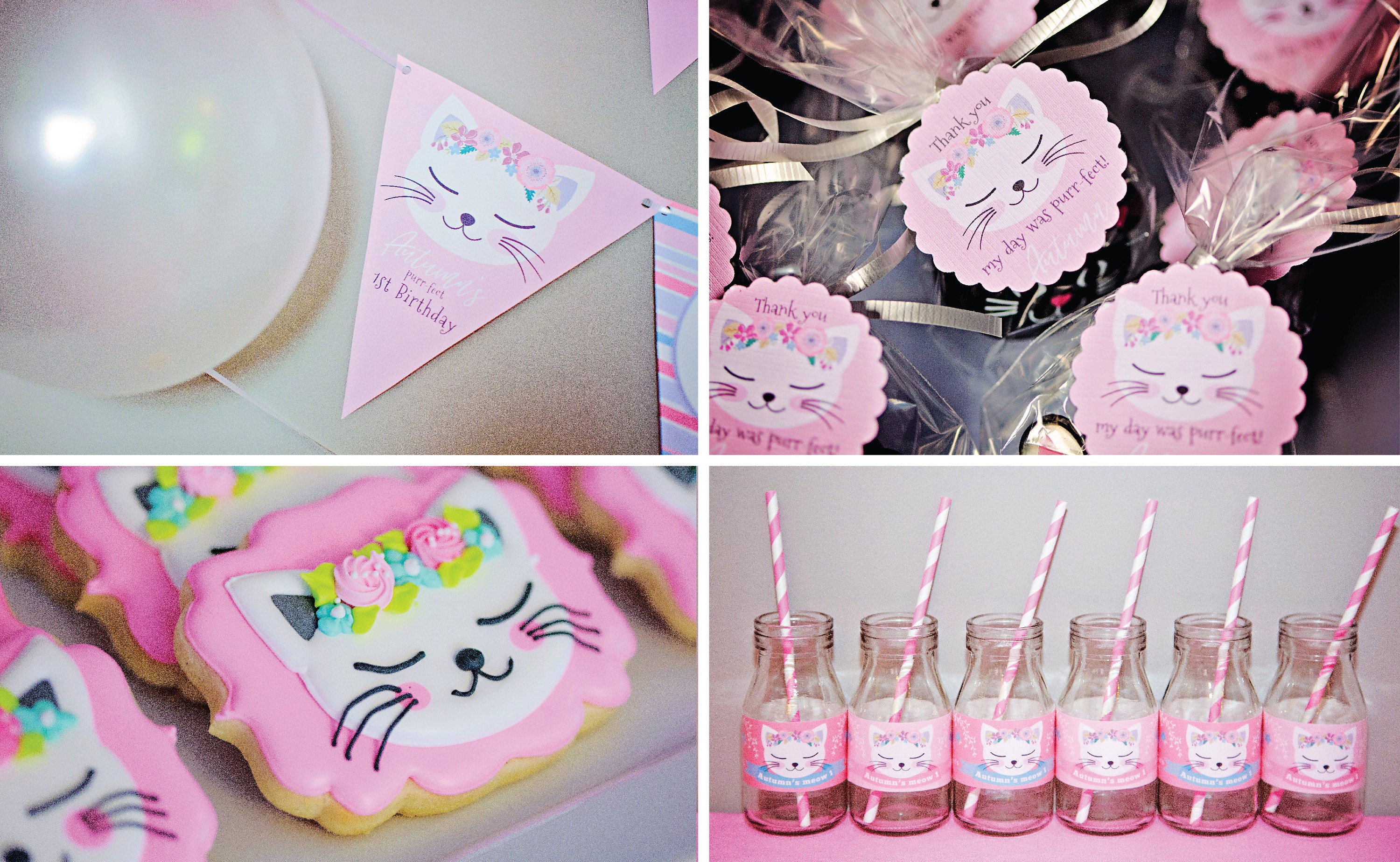 Adopt a Unicorn Party Kit / Certificate / Adoption Sign / Favor Tag / Craft Activities, colouring sheet, unicorn names and unicorn crown