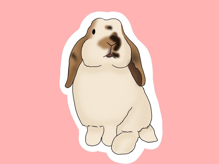Bunny♡s'shop BunnyBunzBoutique - Etsy