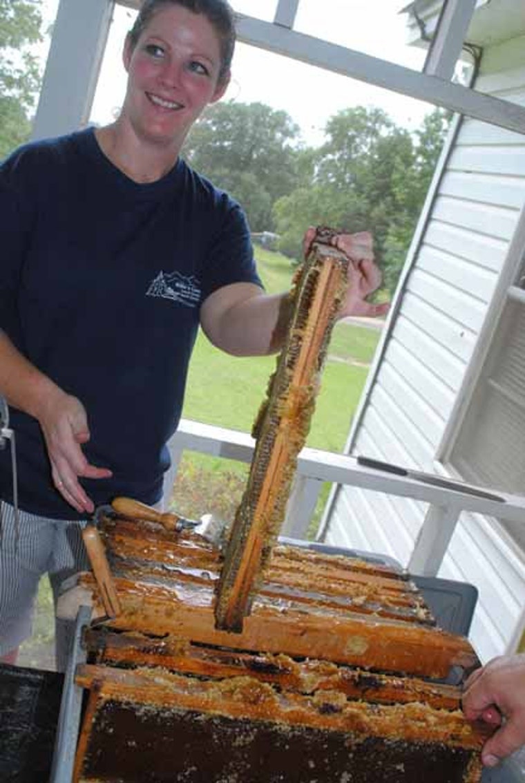 Bee Uncapping Honey Roller Plastic for Beekeeping Beekeeper Essential tool 1 Pcs
