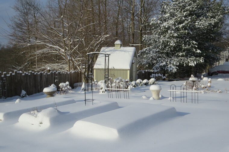 GreenLeafGardens Etsy