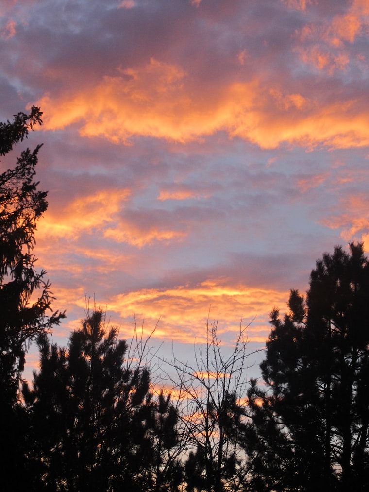 harvestmoonbyhand Etsy