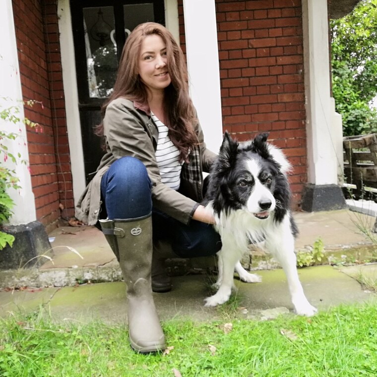 Border hot sale collie wellies