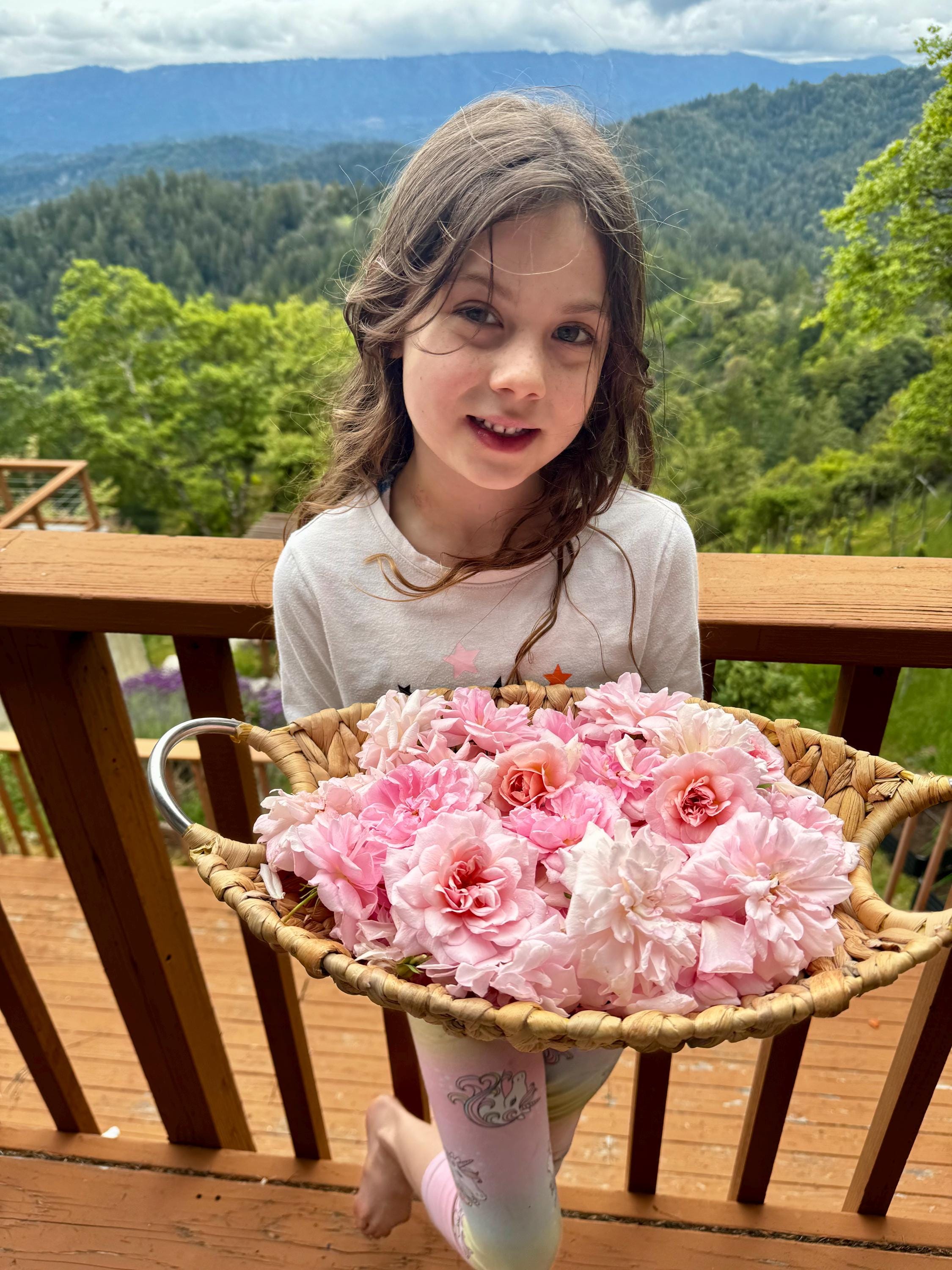 freya-s-fat-cats-botanicals