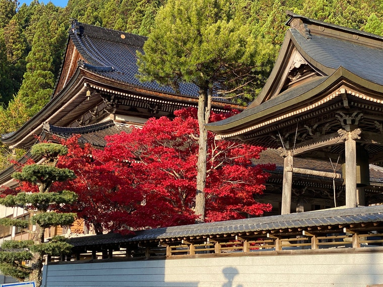 高級模擬家紋入伝統的な鞘付き古いレトロアンティーク袋付ヴィンテージ飾り置物 JapanVintageAntique - Etsy