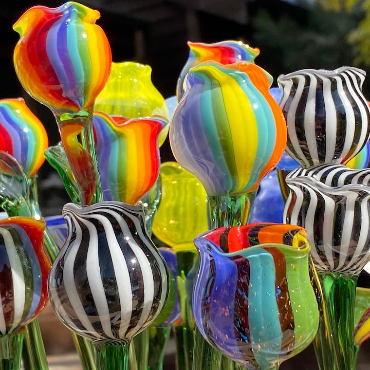 VivoGlass - Etsy