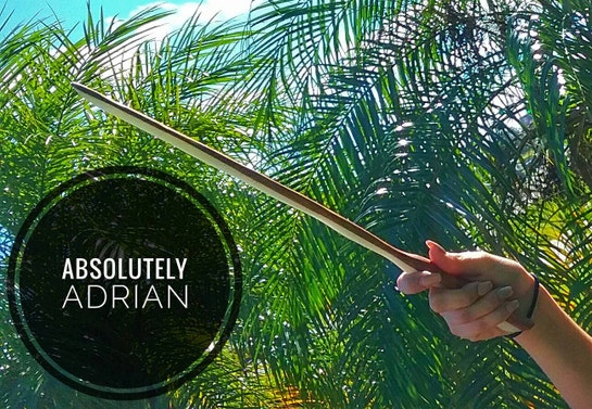 AbsolutelyAdrian - Etsy