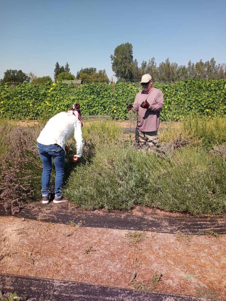 MoonBeamFarmStore Etsy