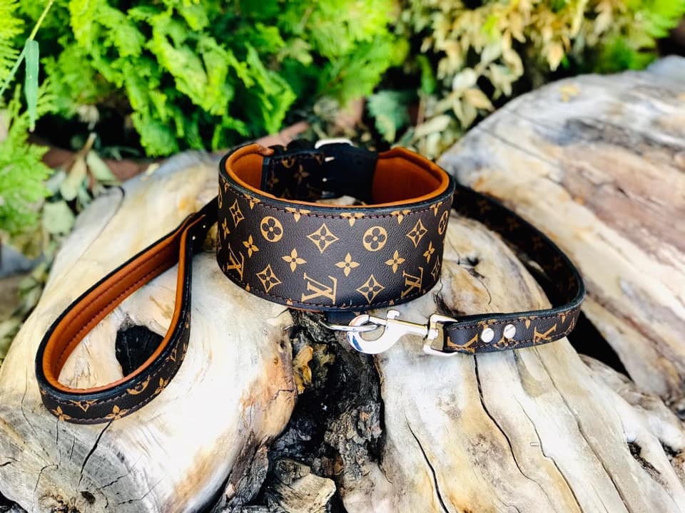 Louisvuitton Gucci Mcm Hermes Burberry Dogcollar Harness Hundehalsband Leine Collar De Perro