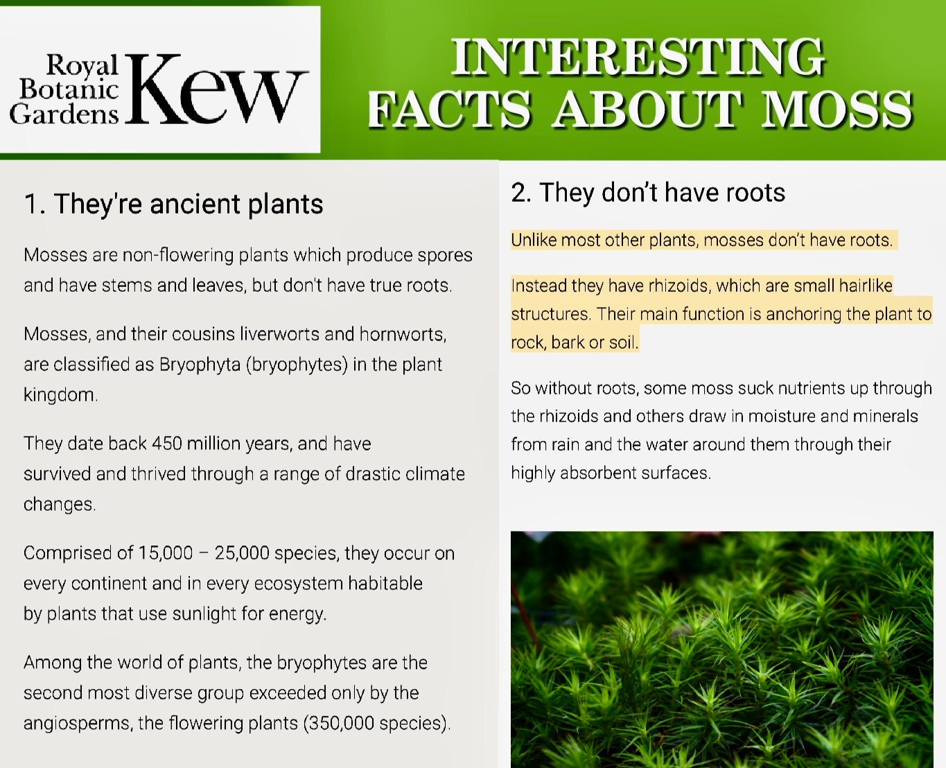 Kew gardens moss facts