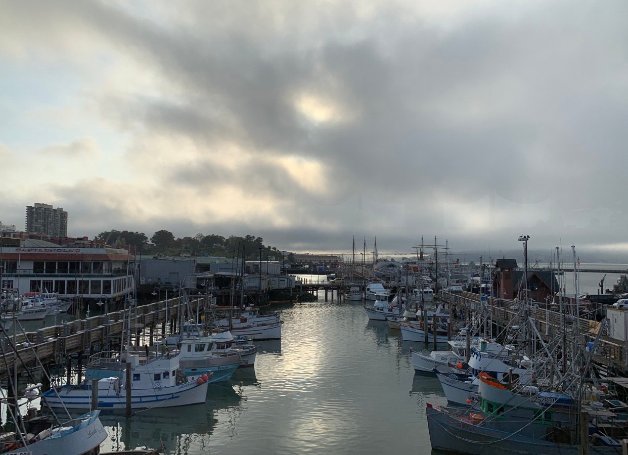 View from Aliotos