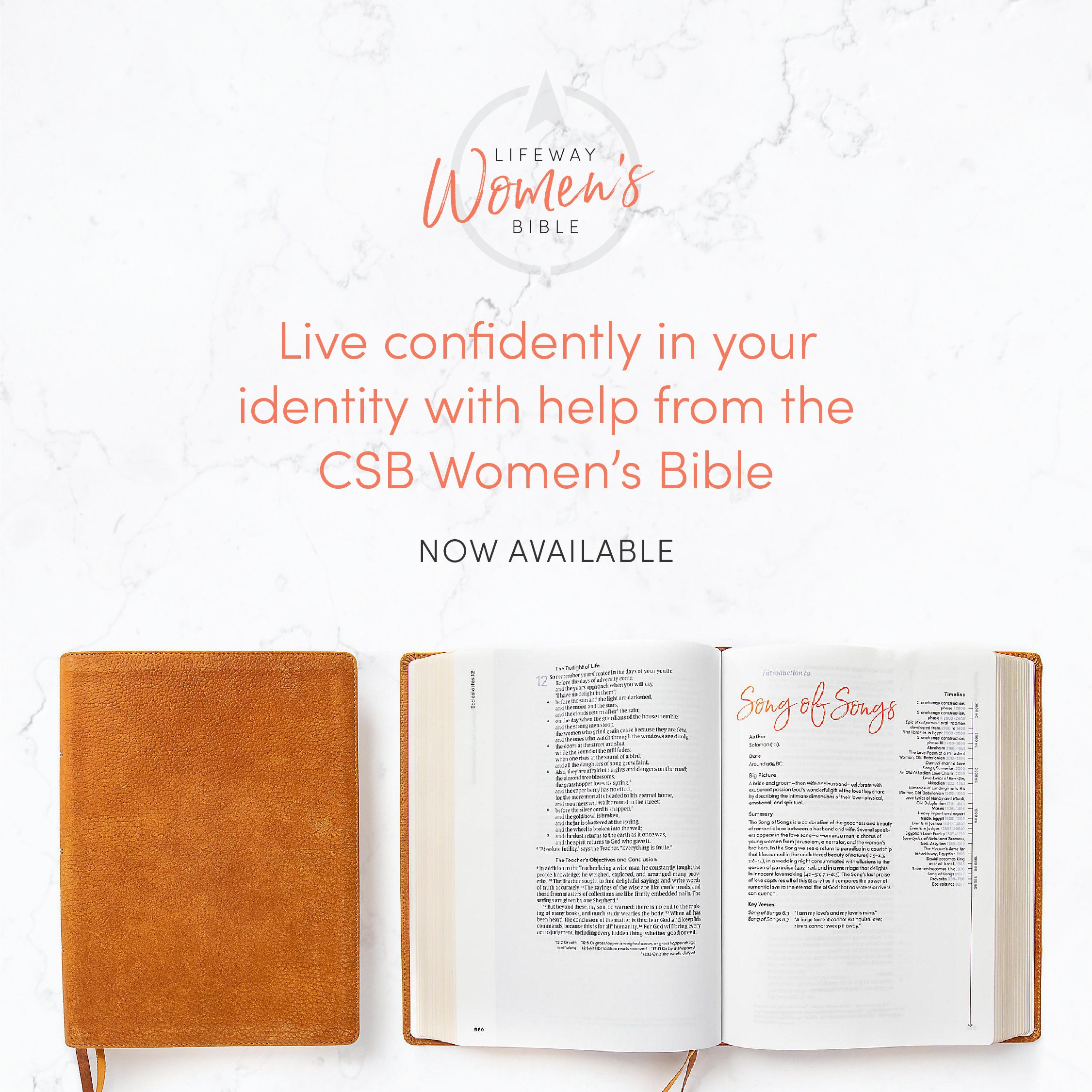 Life way Womens Bible