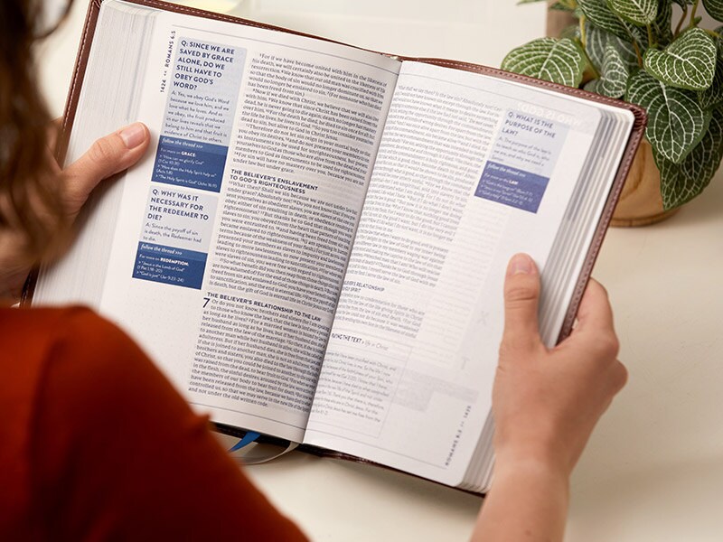 Text Reading Bible
