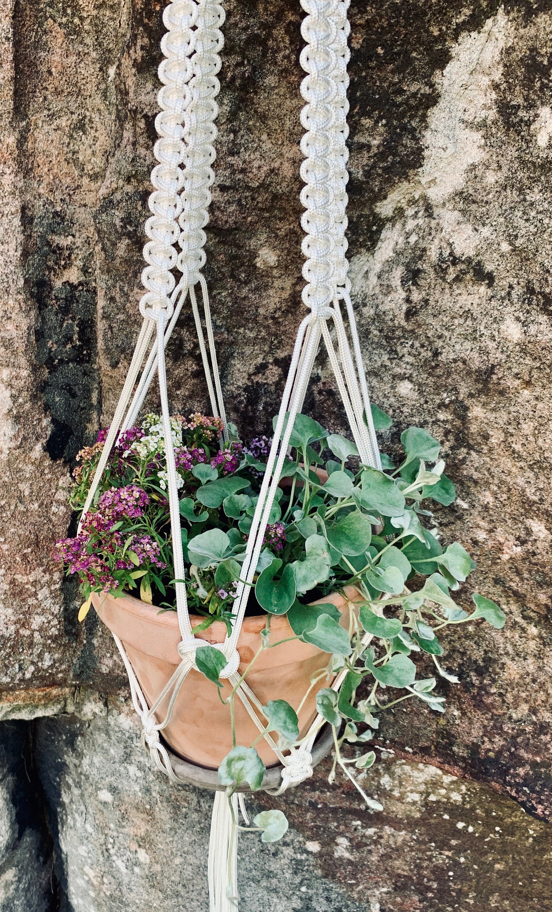 macrame pot plant hanger