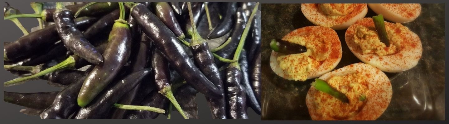 Black Cobra Dare Deviled Eggs By Everythingpeppers.com