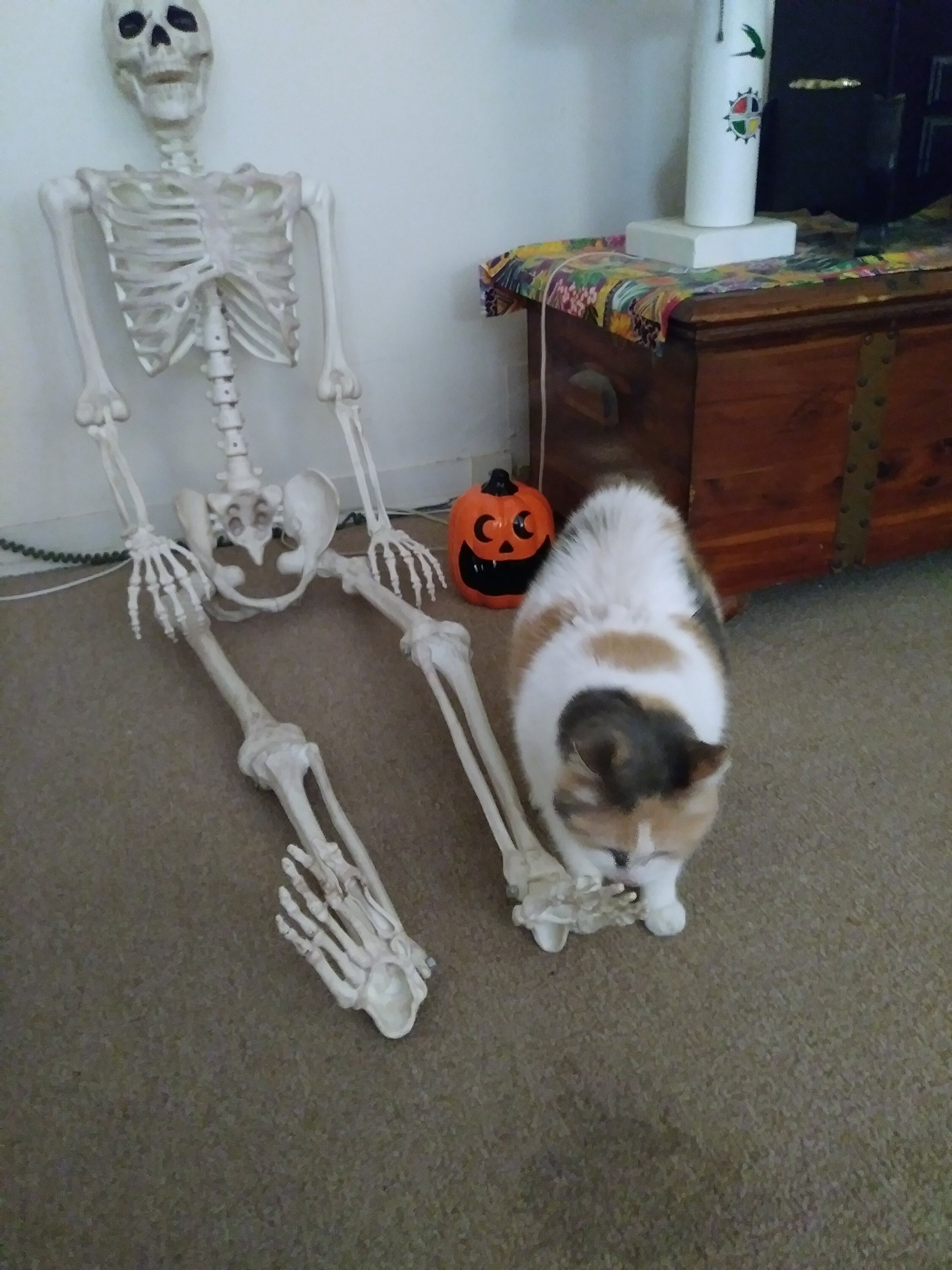 Crafts4Cats
