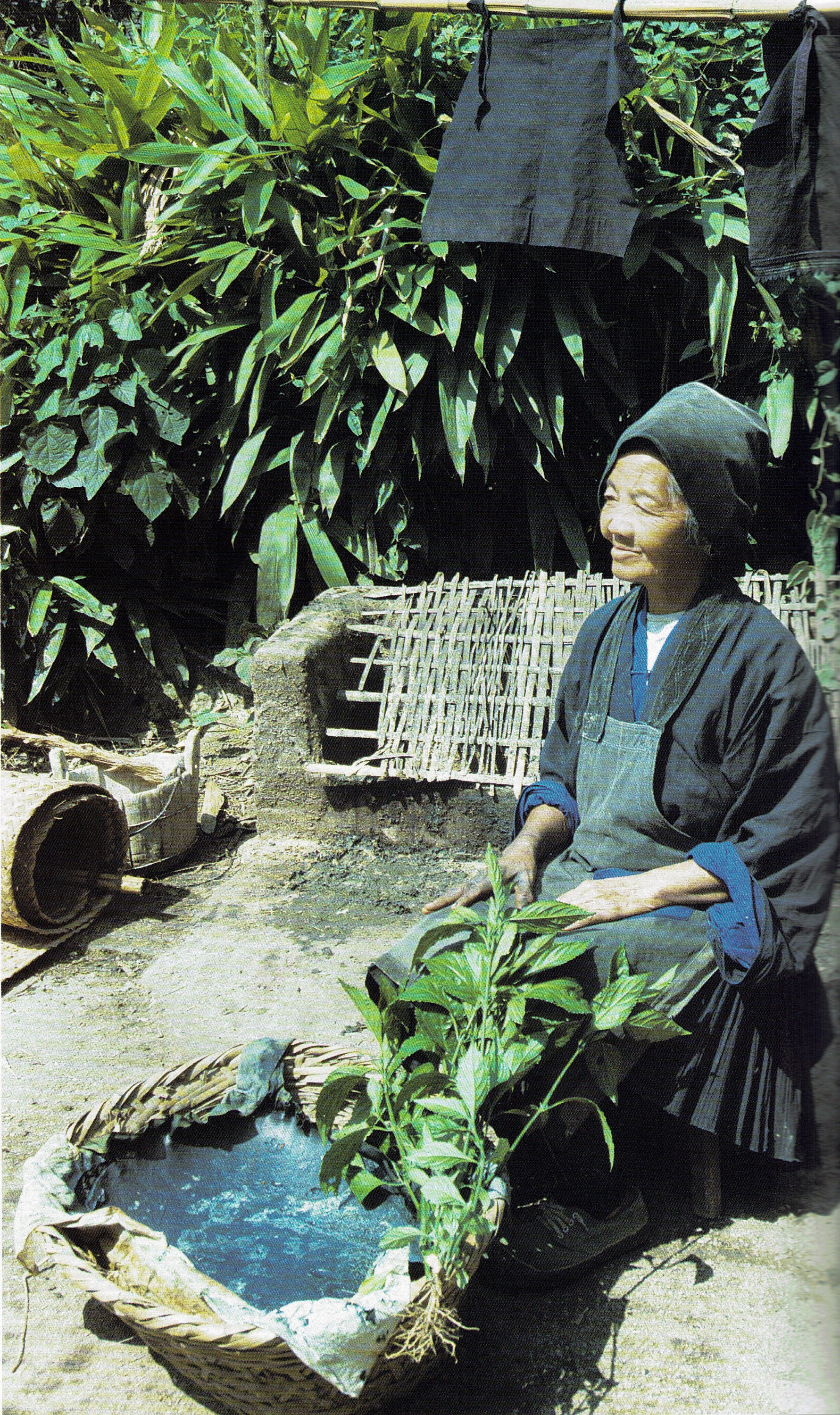 sat-su-ma studio indigo dyeing