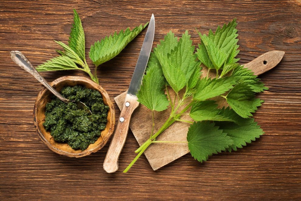 Nettle Preparations