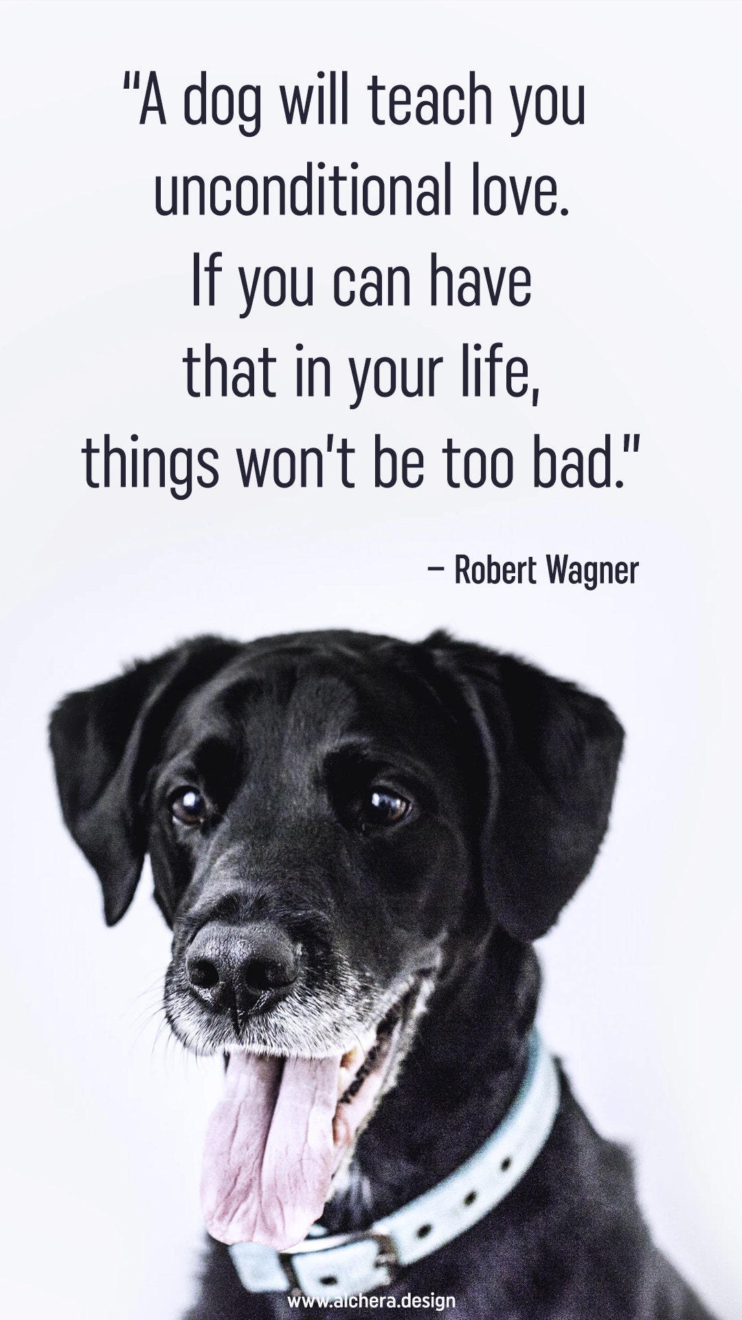 A dog will teach you unconditional love. If you can have that in your life, things wont be too bad. Quote by Robert Wagner.