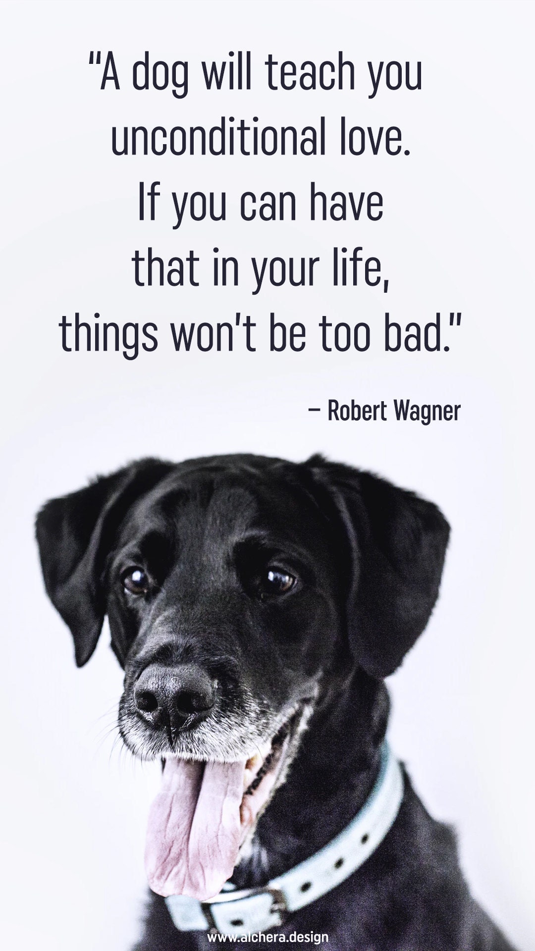 A dog will teach you unconditional love. If you can have that in your life, things wont be too bad.  Quote by Robert Wagner.