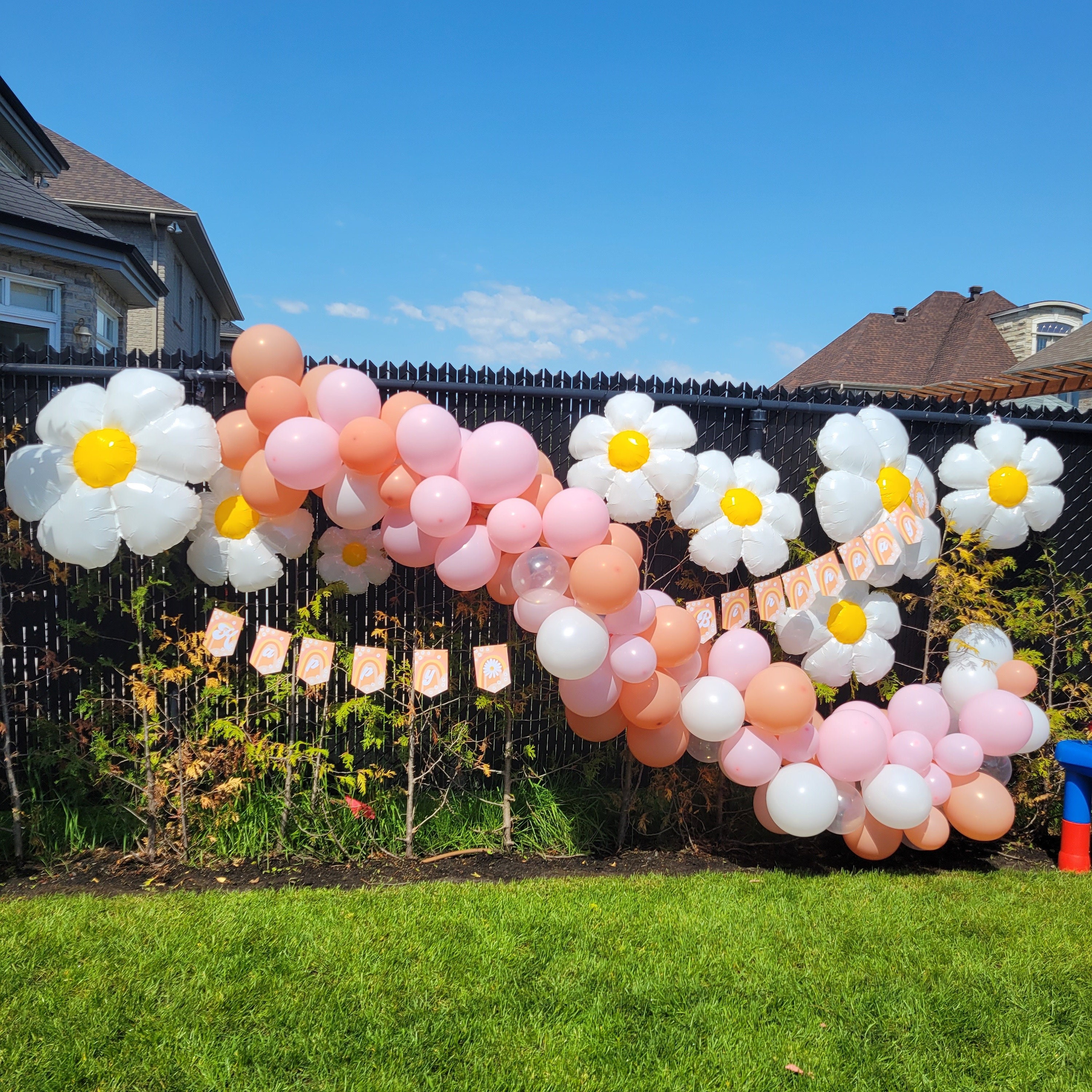 Happy BIrthday banner Daisies balloon guarland