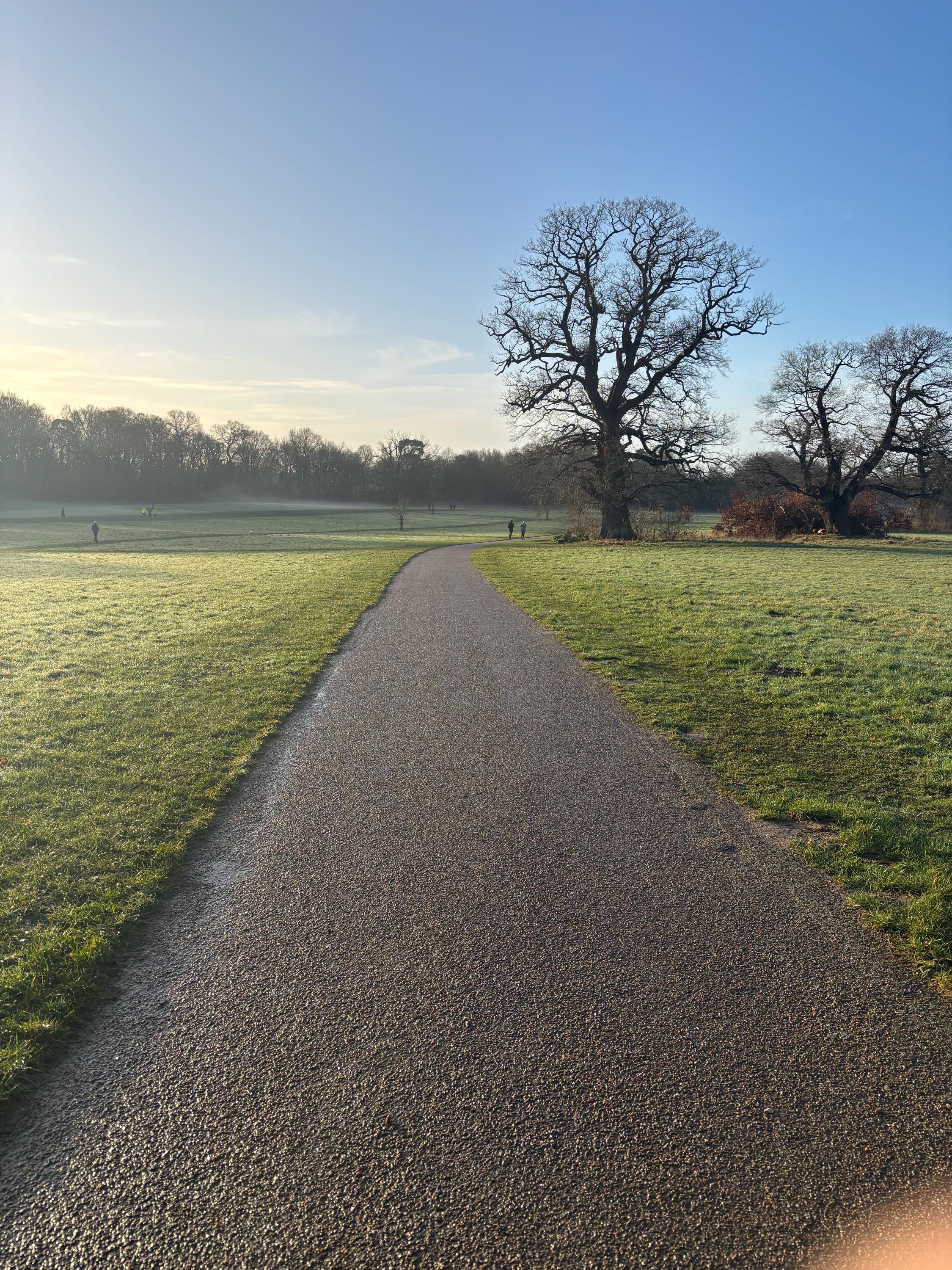 Looking along a tarmac track with grass to either side. A prominent tree is in the background