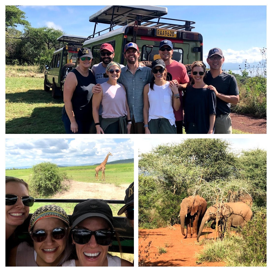 milkandhoney_safari