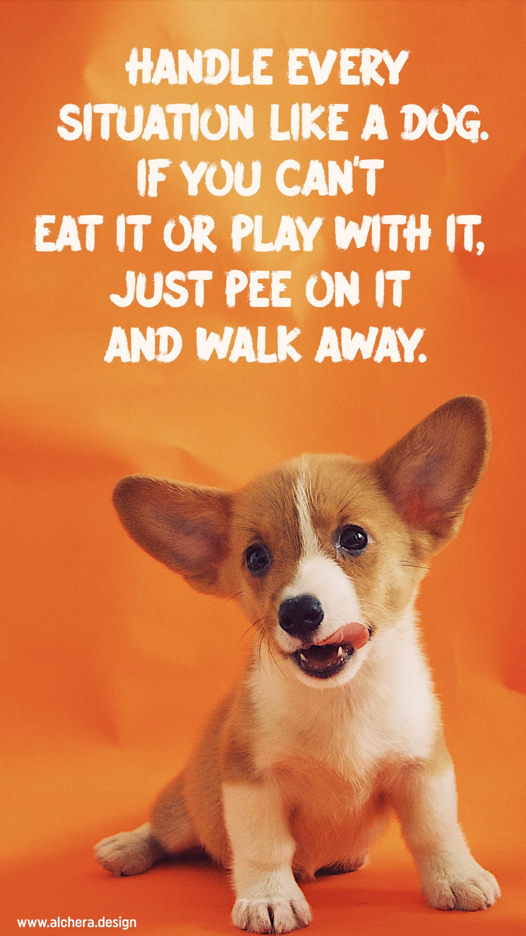 Handle every stressful situation like a dog, If you cant eat it or play with it, just pee on it and walk away