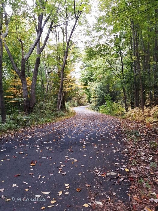 Autumn, in this place