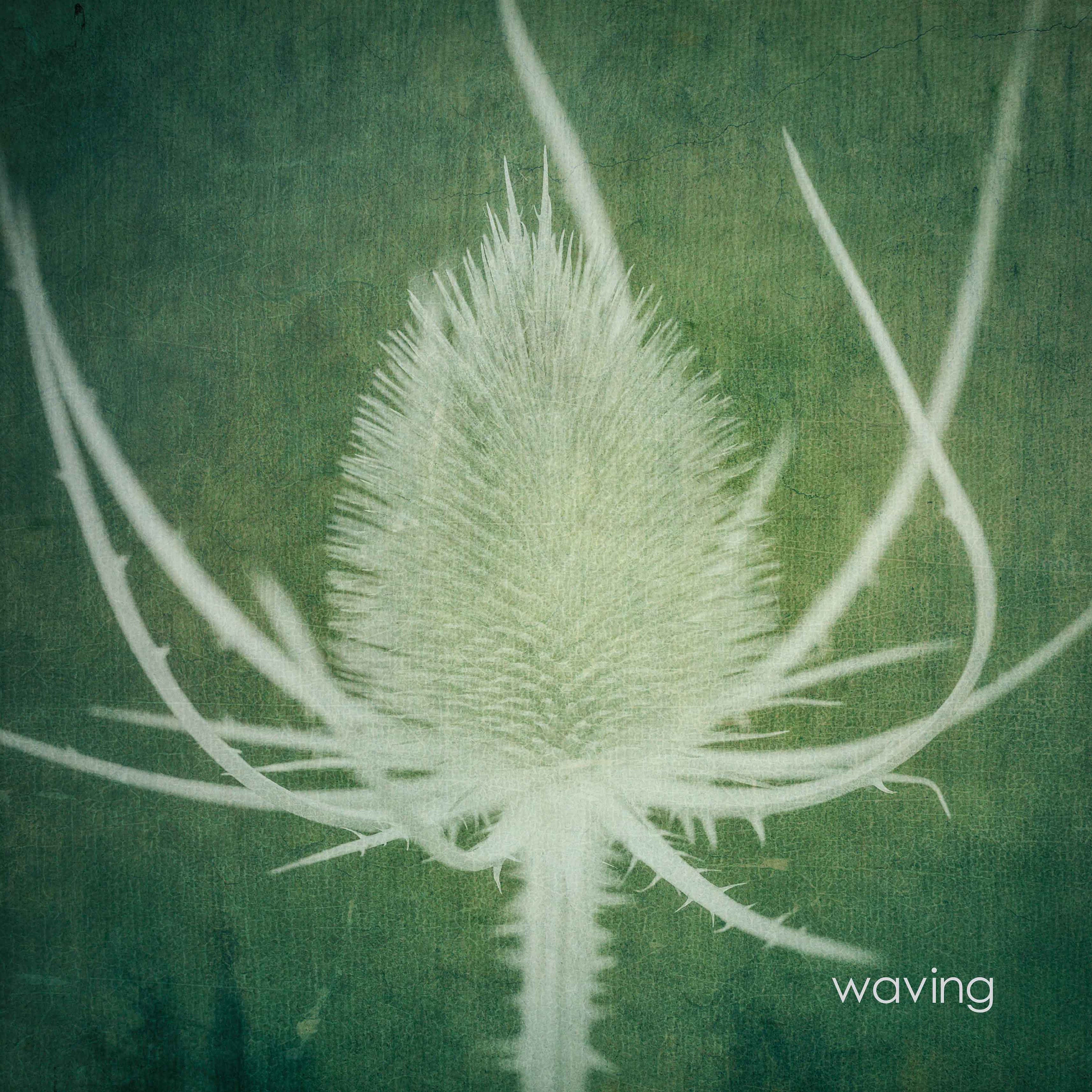 green and white floral botanical fine art at the affordable art fair christmas market by deborah pendell with morgan davies art