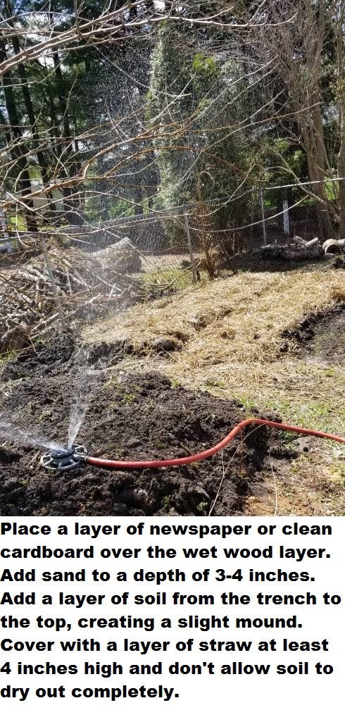 Step the Third. In which the resulting completed trench is covered in a thick layer of straw, and moist conditions maintained.