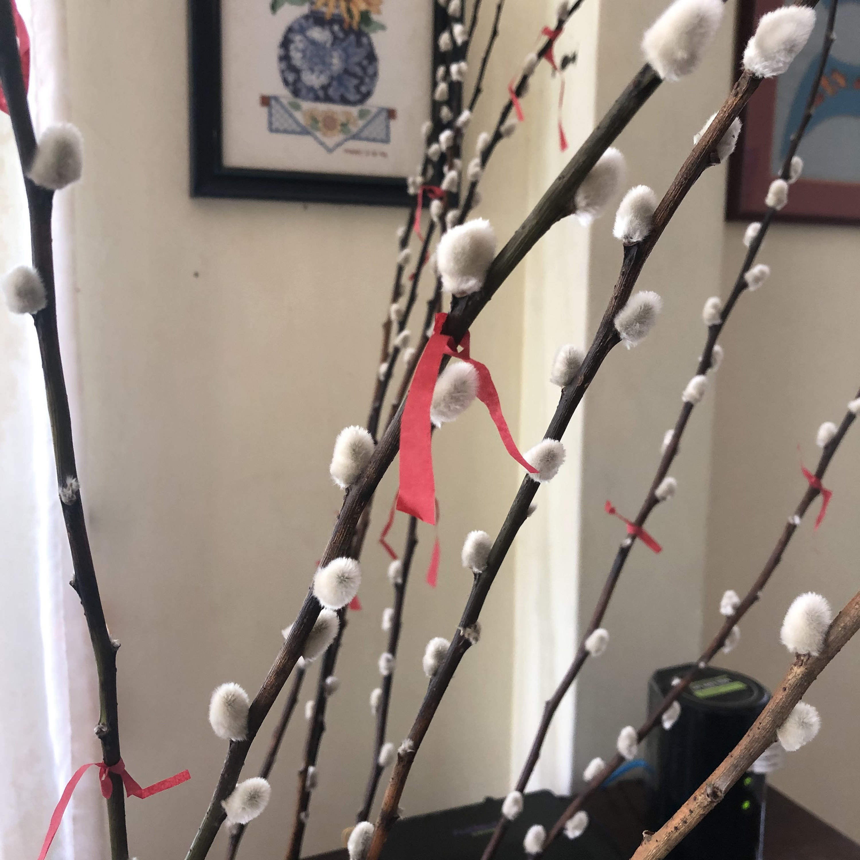 pussy willow with red paper