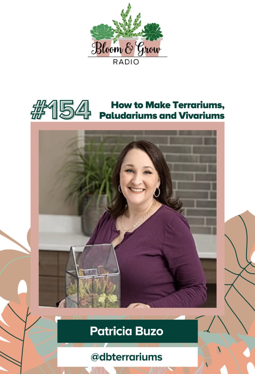 Terrariums, vivariums, and paludariums with Patricia Buzo