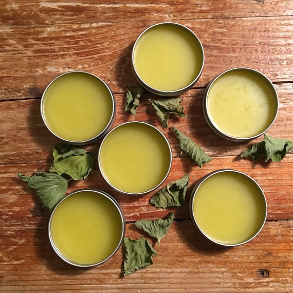 Violet Leaf Balms