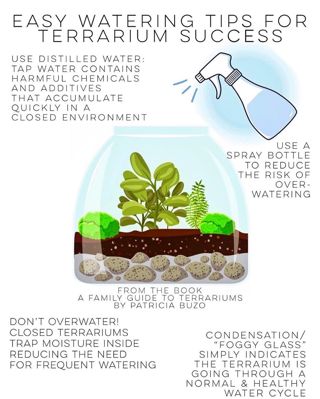 terrarium watering tips