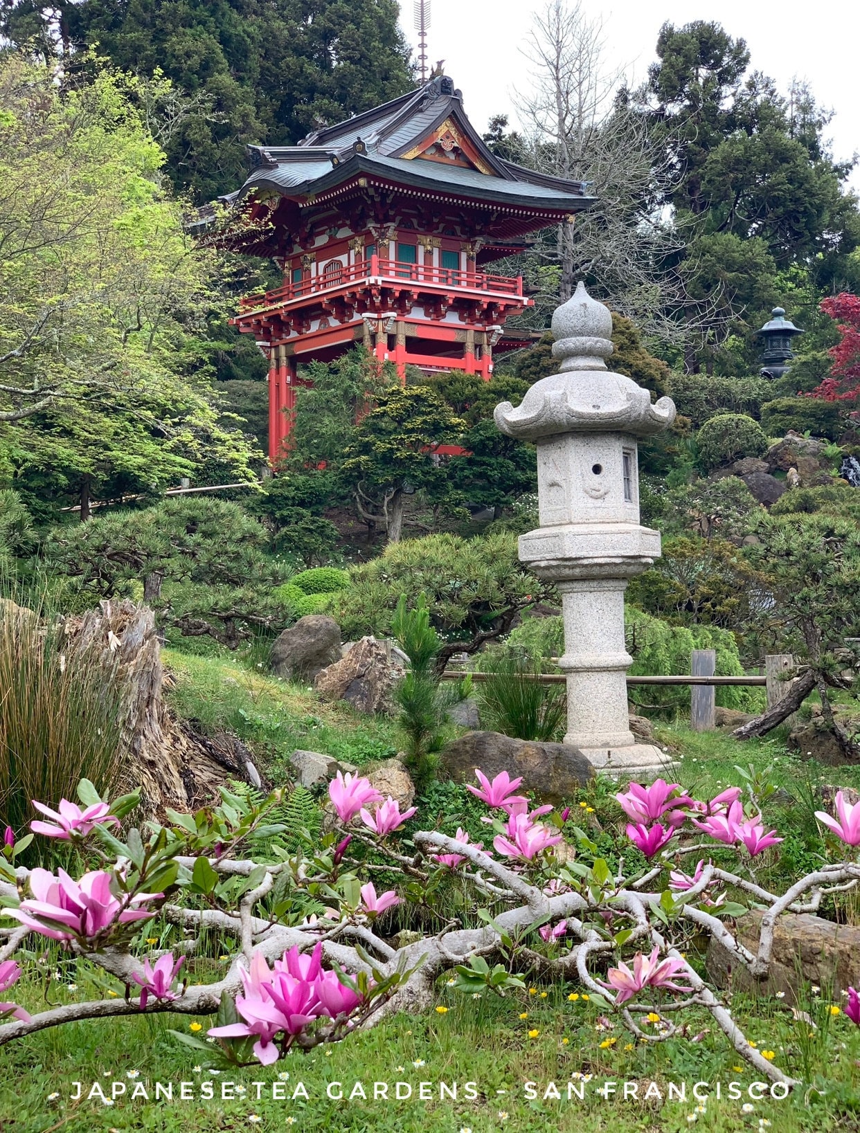 Japanese Tea Gardens