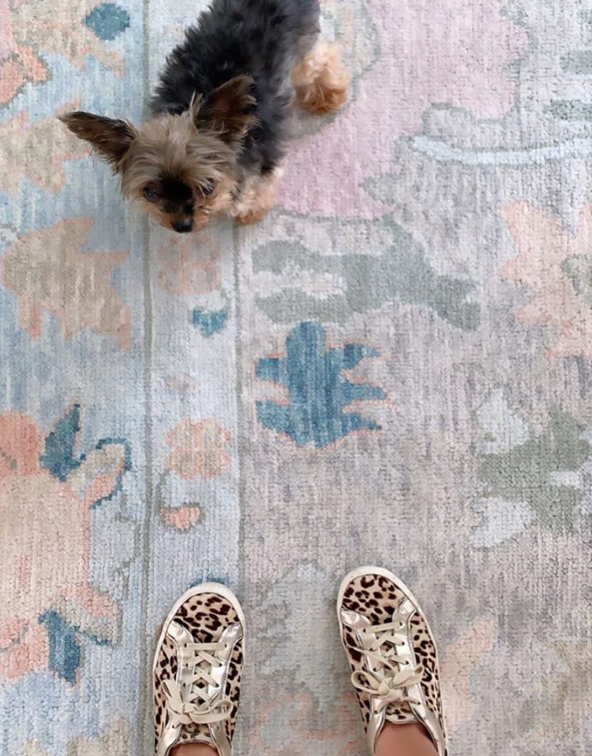 milkandhoney_lindseymeyerleopard