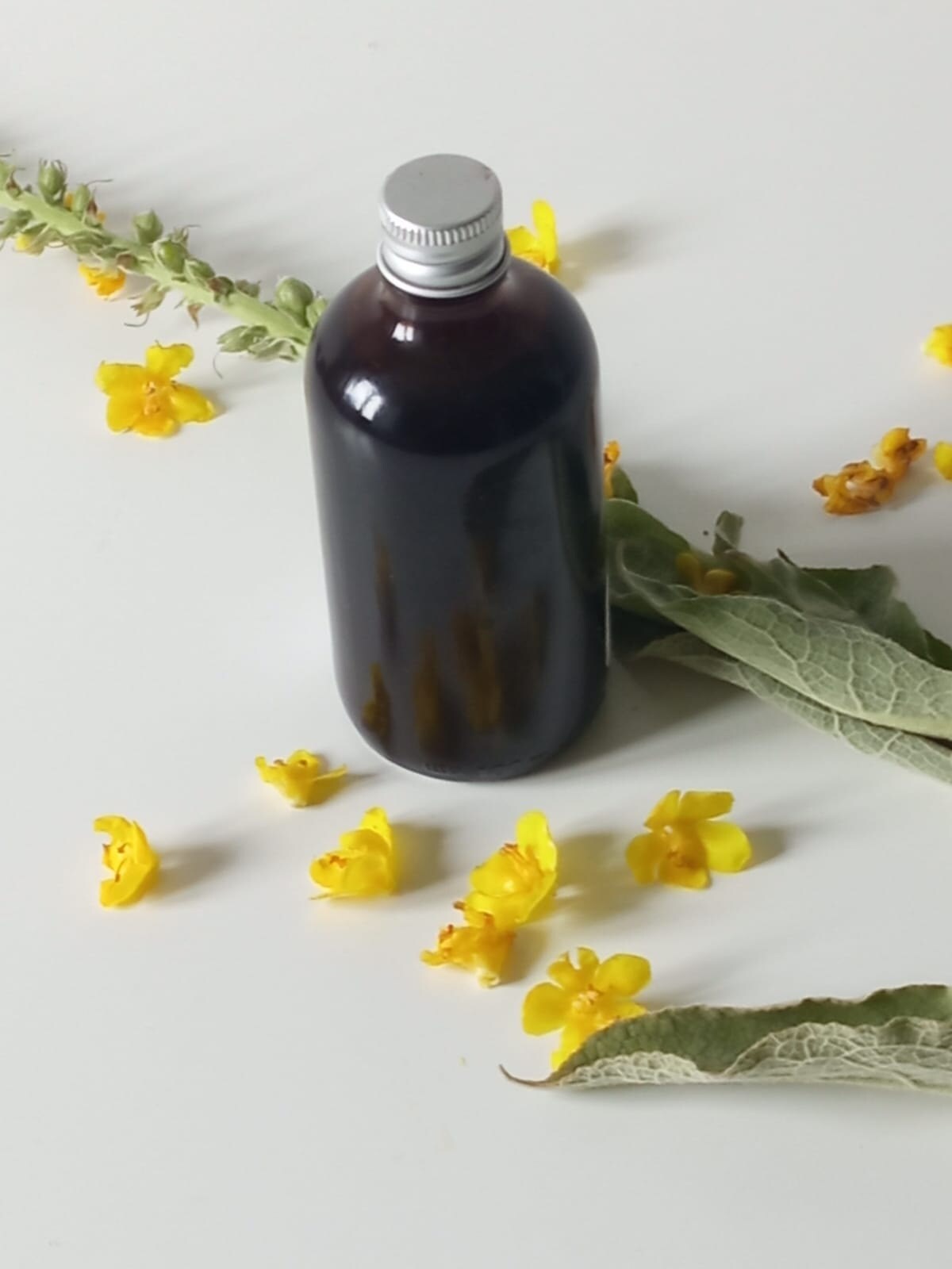 Mullein Extract