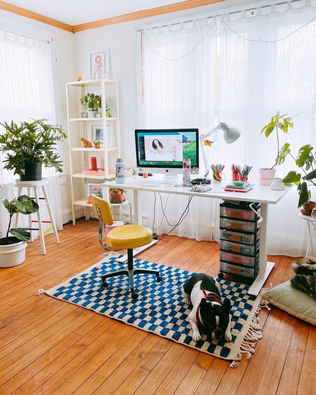 Blue and white checkerboard rug