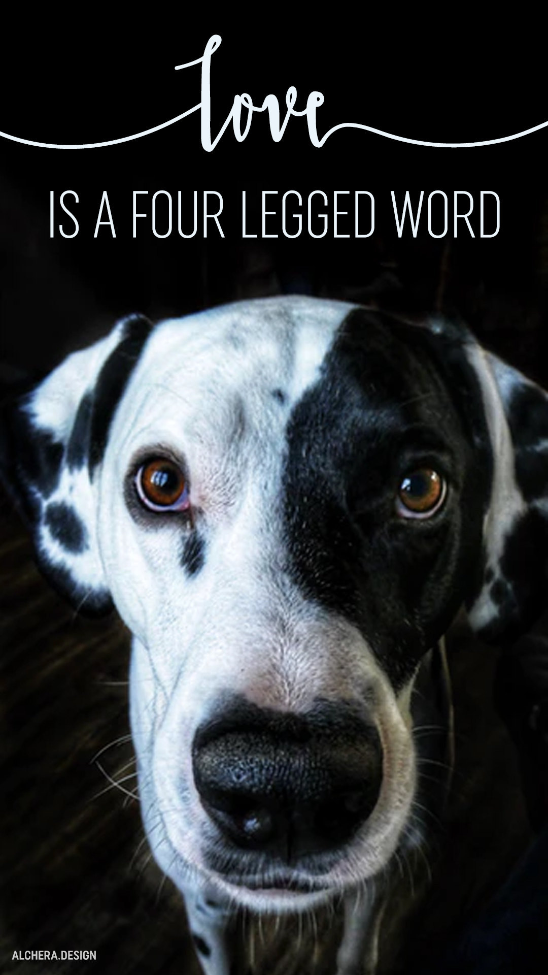 Love is a four-legged word.